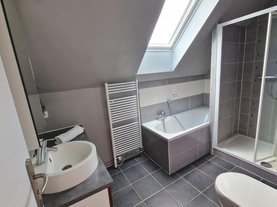Les Glazons *T4* Olivet + Parking Apartment Ngoại thất bức ảnh